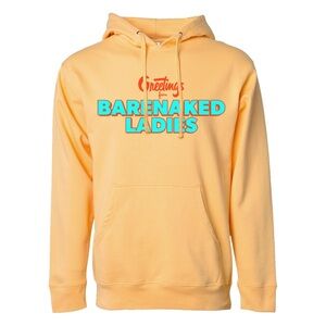 Barenaked Ladies "Greetings From Last Summer On Earth" 2023 Tour Hoodie